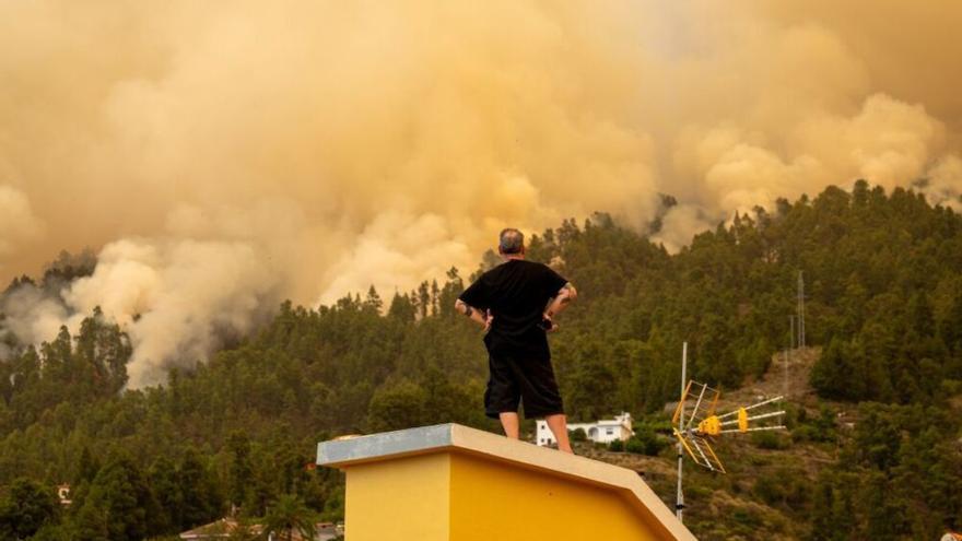 &quot;Decidí salvar la casa&quot;: pierde su negocio tras el incendio de La Palma