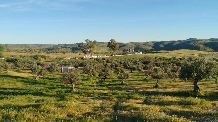 Transición energética con acento rural: así impulsa Extremadura el modelo ‘Dehesa Viva’