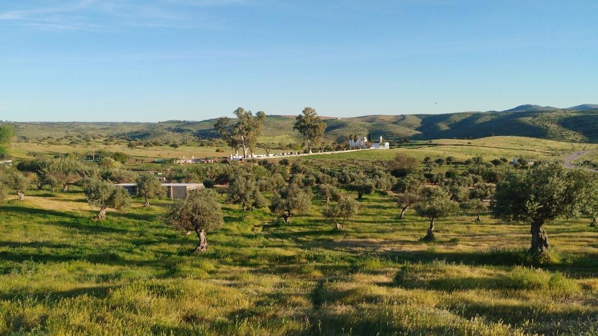 Finca La Candela.