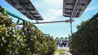 Energía solar para ayudar a la agricultura a luchar contra el cambio climático
