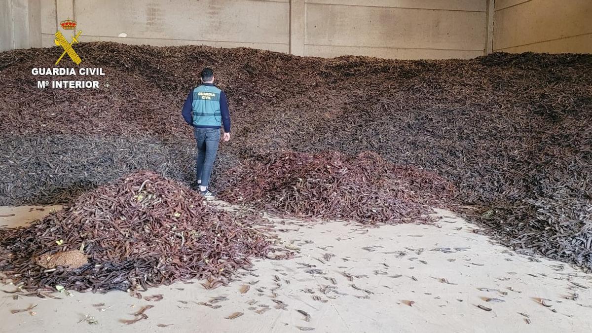 Un agente, junto a cientos de kilos de algarrobas recuperadas.