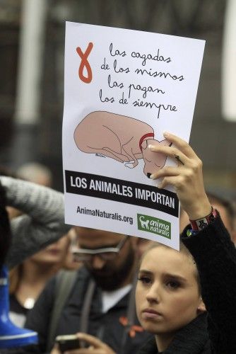 Madrid, Barcelona, Valencia y Lugo, entre otras ciudades españolas, han acogido concentraciones en apoyo a la auxiliar y en recuerdo a su perro sacrificado.