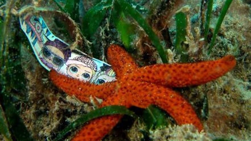 Una estrella de mar entre restos de un juguete plástico en el golfo de València