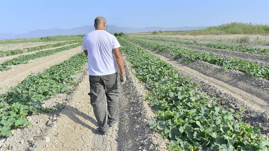 ADR Camp d’Elx y Margalló piden una ordenanza rural más ambiciosa