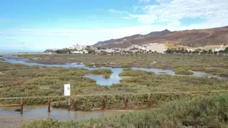 El niño fallecido en Fuerteventura tras caer de un patinete era de Gran Canaria