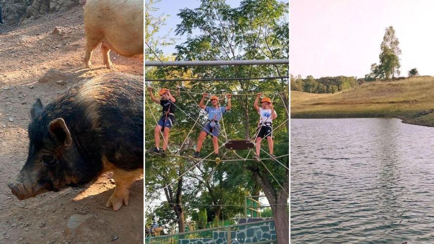 El parque de Sevilla con jardín botánico, tirolina y rocódromo en el que se pueden ver cerdos, cabras y conejos: "Es un privilegio poder estar en un sitio así"