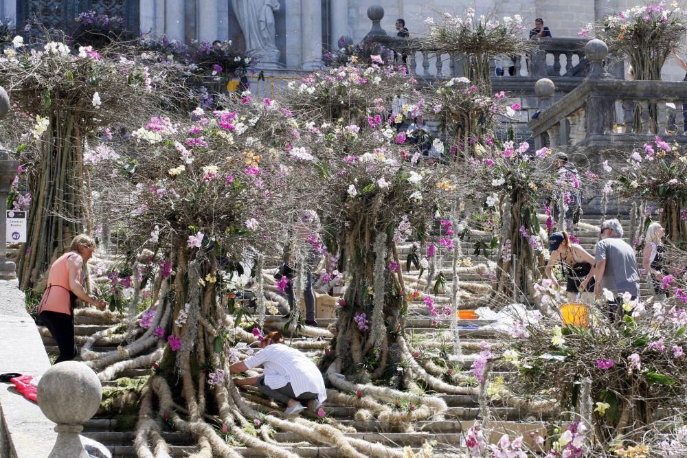 Últims preparatius pel Temps de Flors