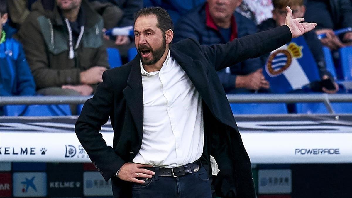 Machín, en el duelo con Osasuna en Cornellà-El Prat.