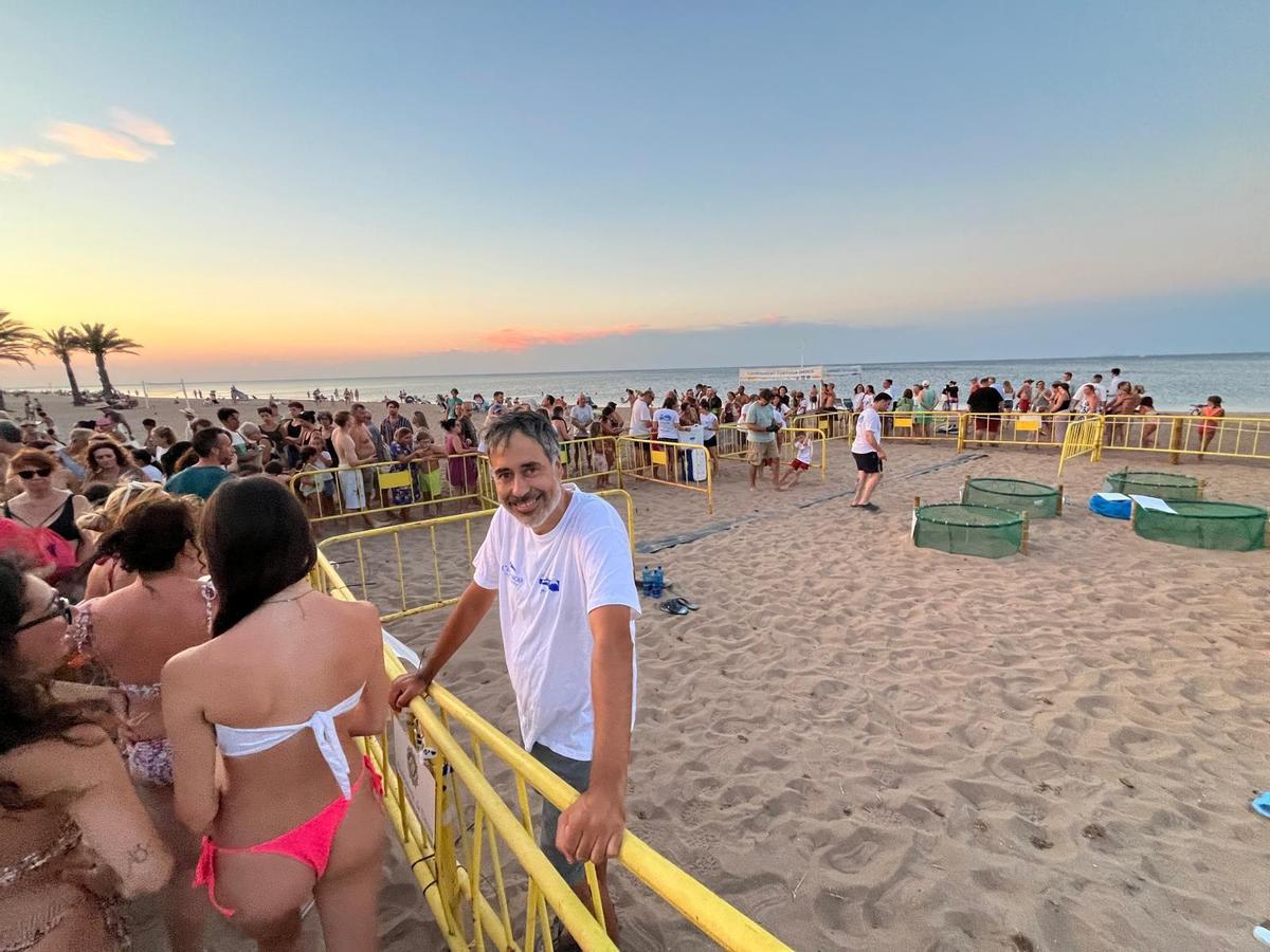 Las imágenes del prodigio: Nace 128 tortugas en Dénia