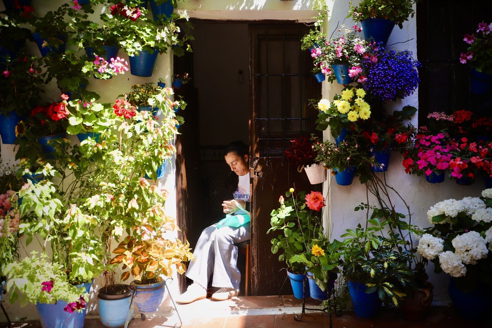 La Ruta 3 de los Patios de Córdoba, en imágenes