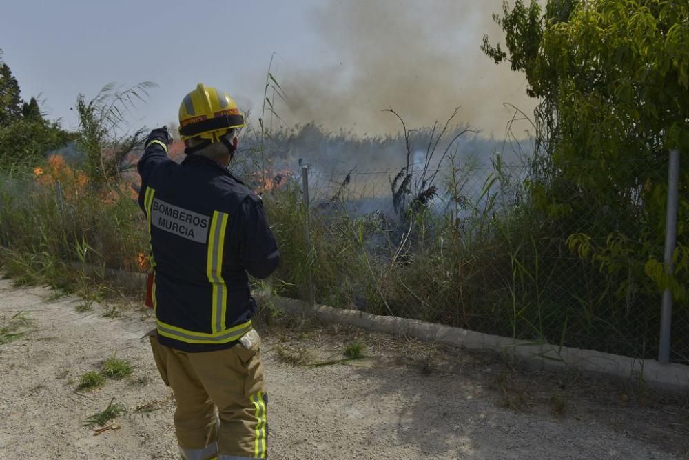 Incendio de matorral en Cabezo de Torres