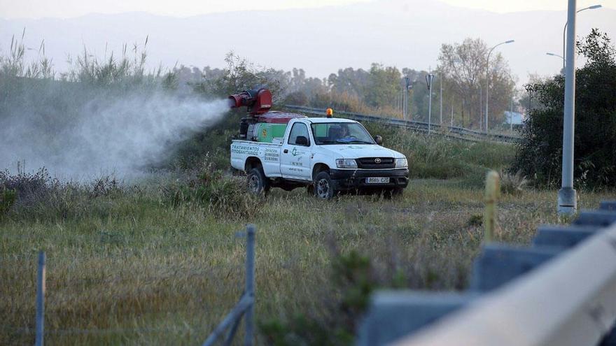 Los mosquitos están en la desembocadura del Guadalhorce.