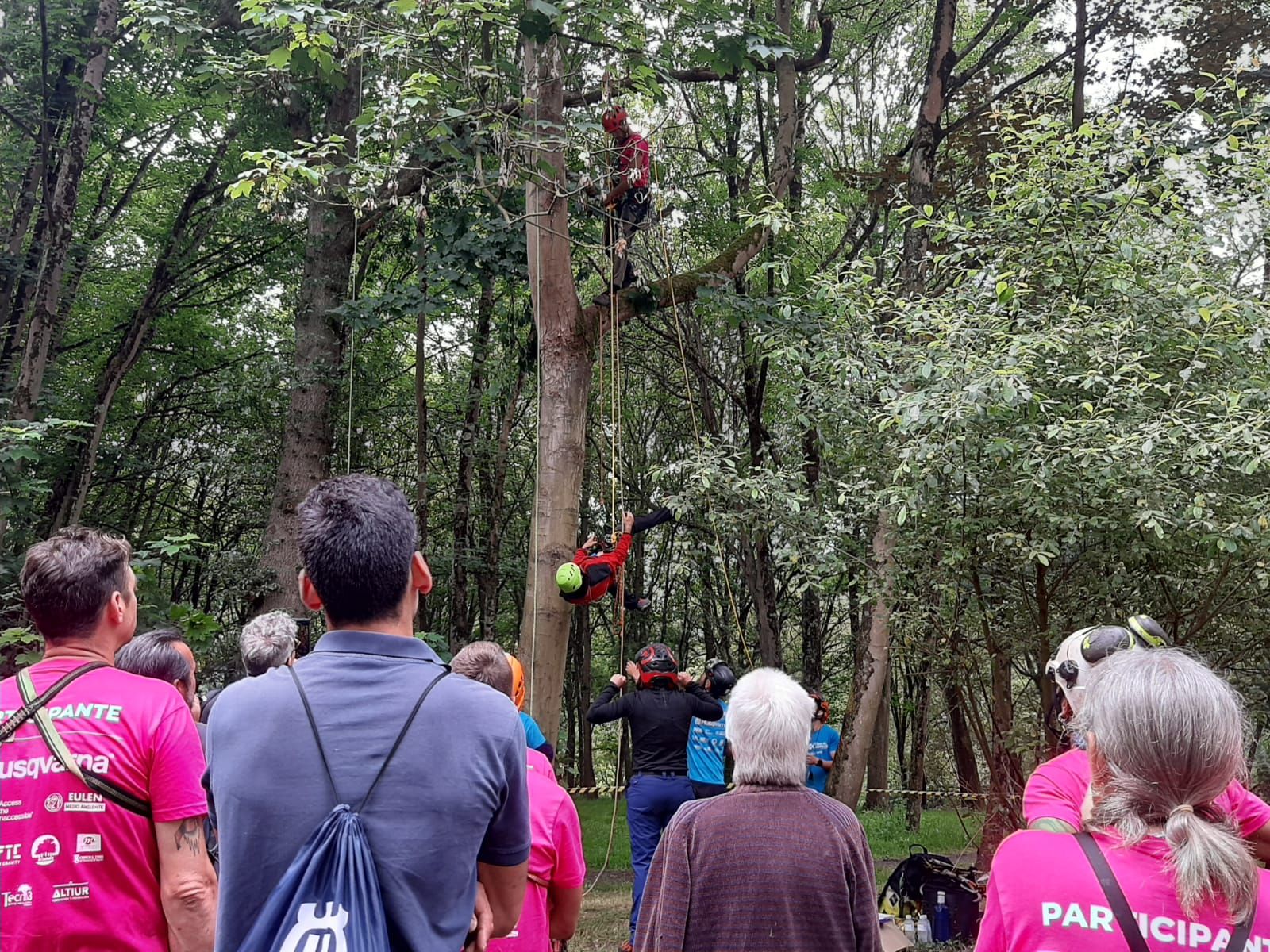 Así son los campeonatos de trepa a los árboles: Lugones alberga el certamen nacional