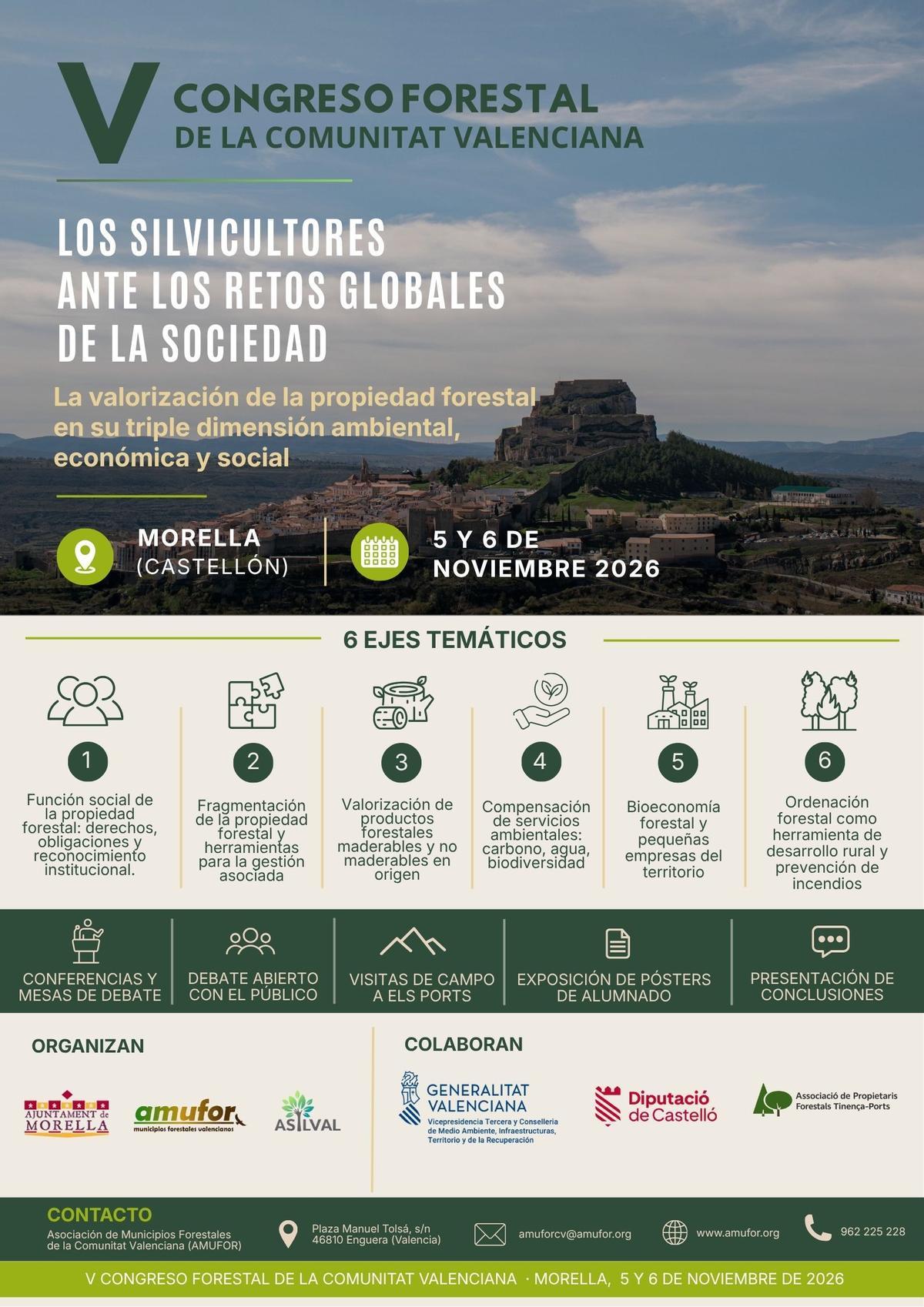 Cartell promocional del congrés.