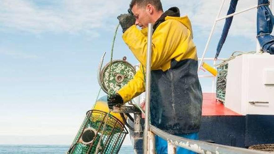 Un pescador asturiano levantando una de las nasas de pulpo. // MSC