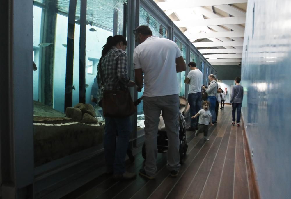 Inauguración en el Museo del Mar