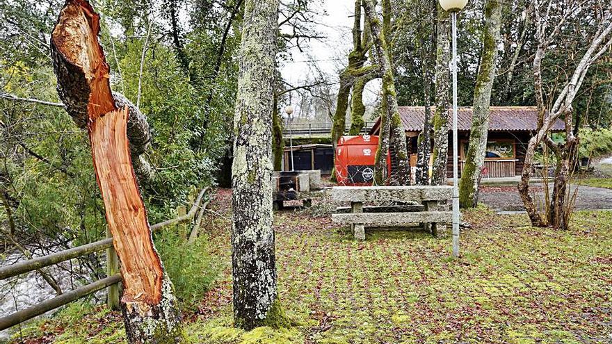 En el área recreativa de A Carixa cayeron árboles. |   // BERNABÉ