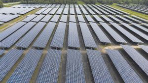 Instalación de paneles solares con decenas de placas en funcionamiento.