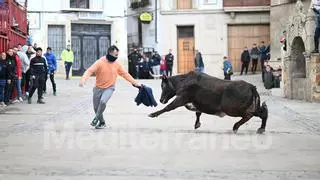 Villahermosa del Río: Diversión y entretenimiento en la vila con reses de calidad