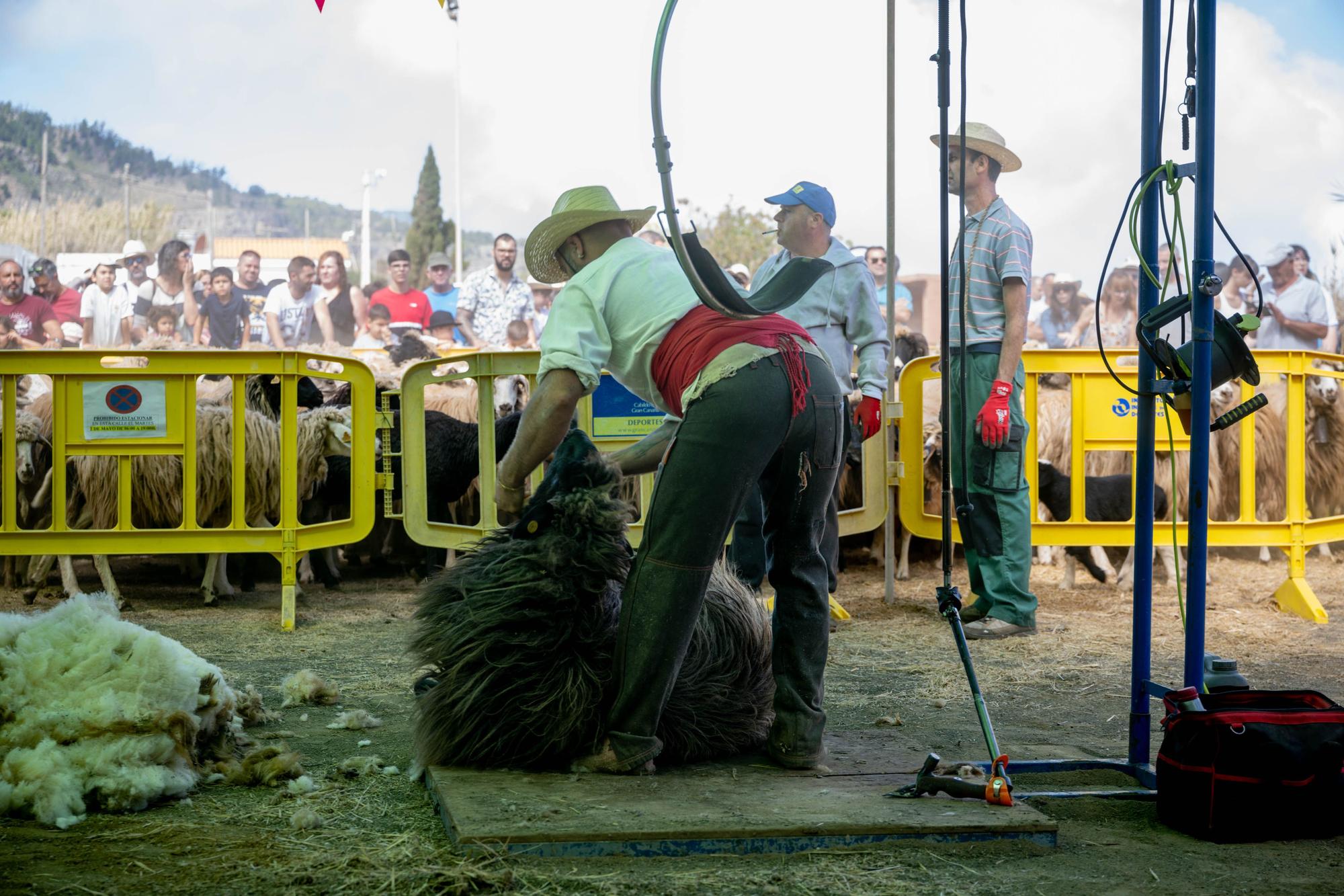 Fiesta de la Lana de Caideros