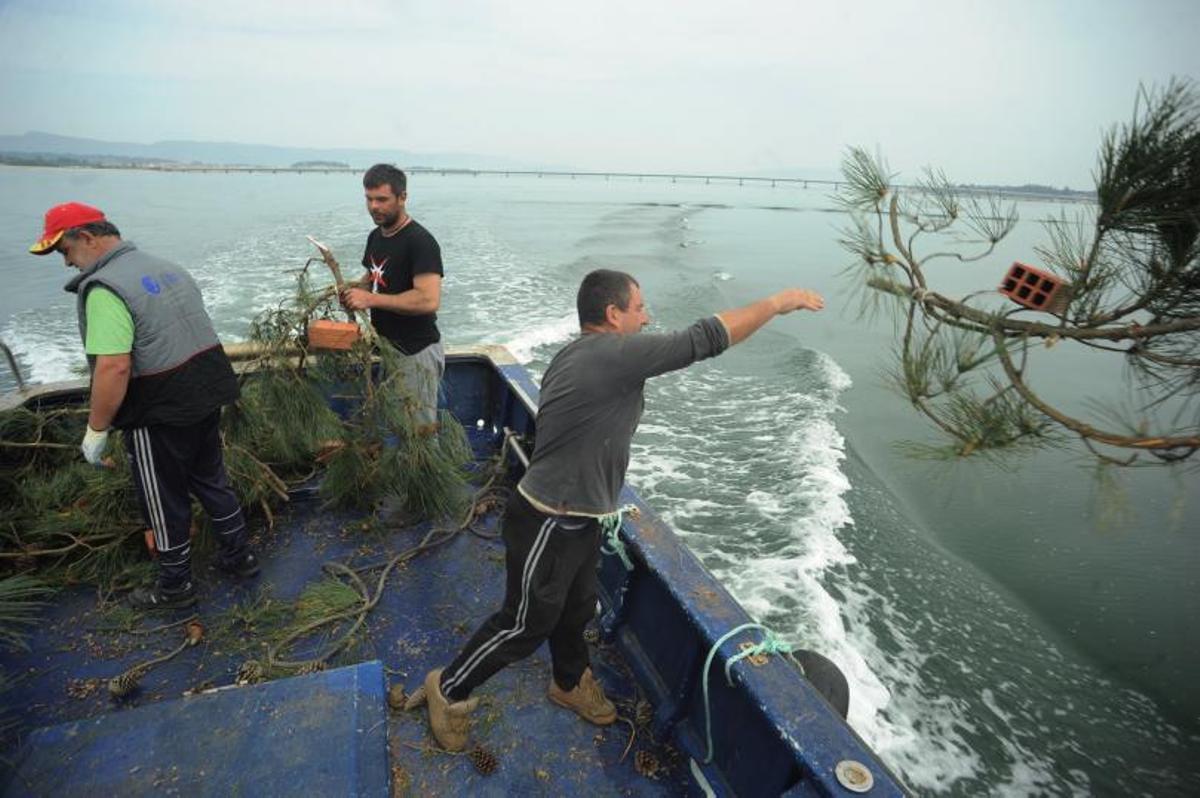 Pescadores de Cambados arrojan ramas de pino al agua de la ría.   | // IÑAKI ABELLA