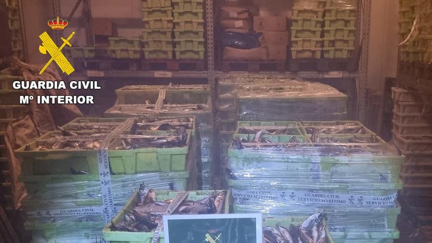 La Guardia Civil interviene más de tres toneladas de jurel en Camariñas