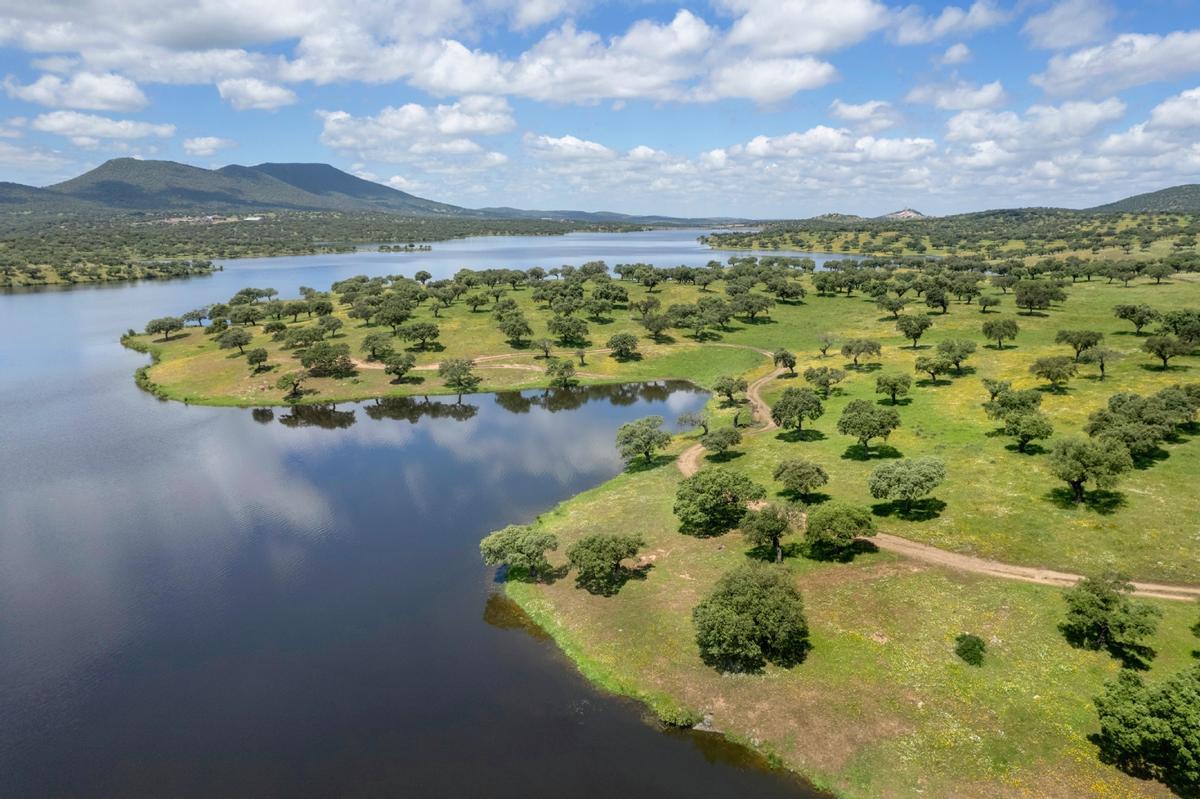 Embalse de Nogales.