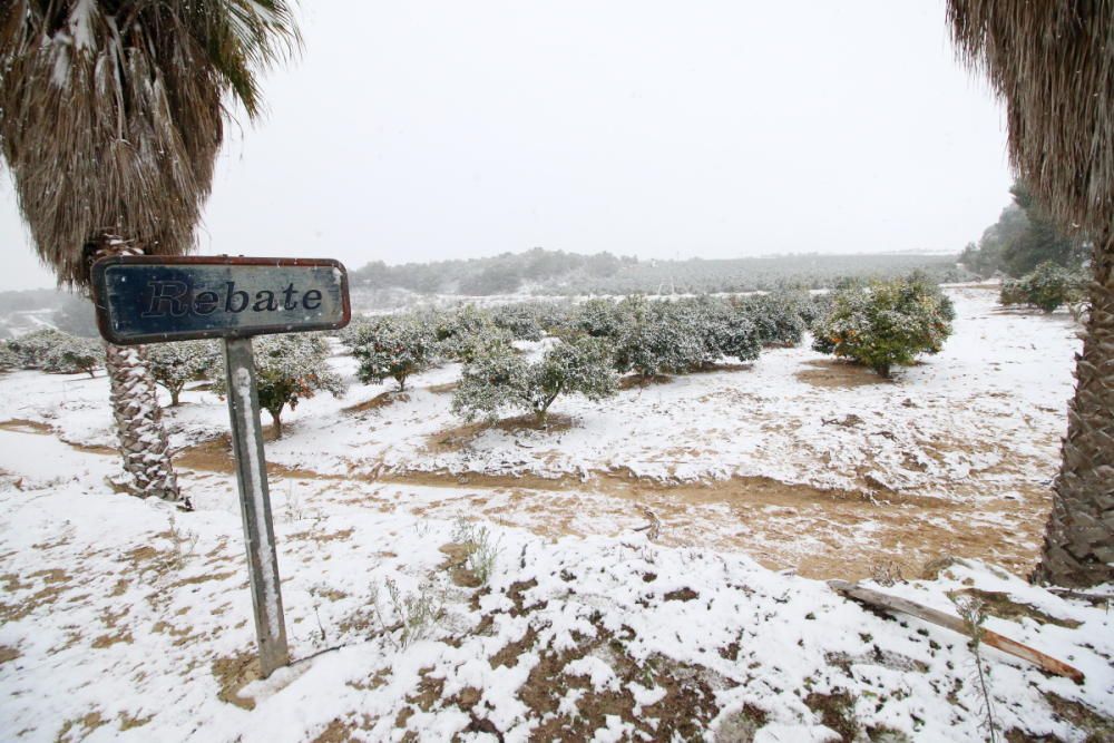 La Vega Baja, en especial los municipios del litoral, disfrutaron de una nevada histórica, que llegó a cuajar y cubrió de blanco playas y parques.