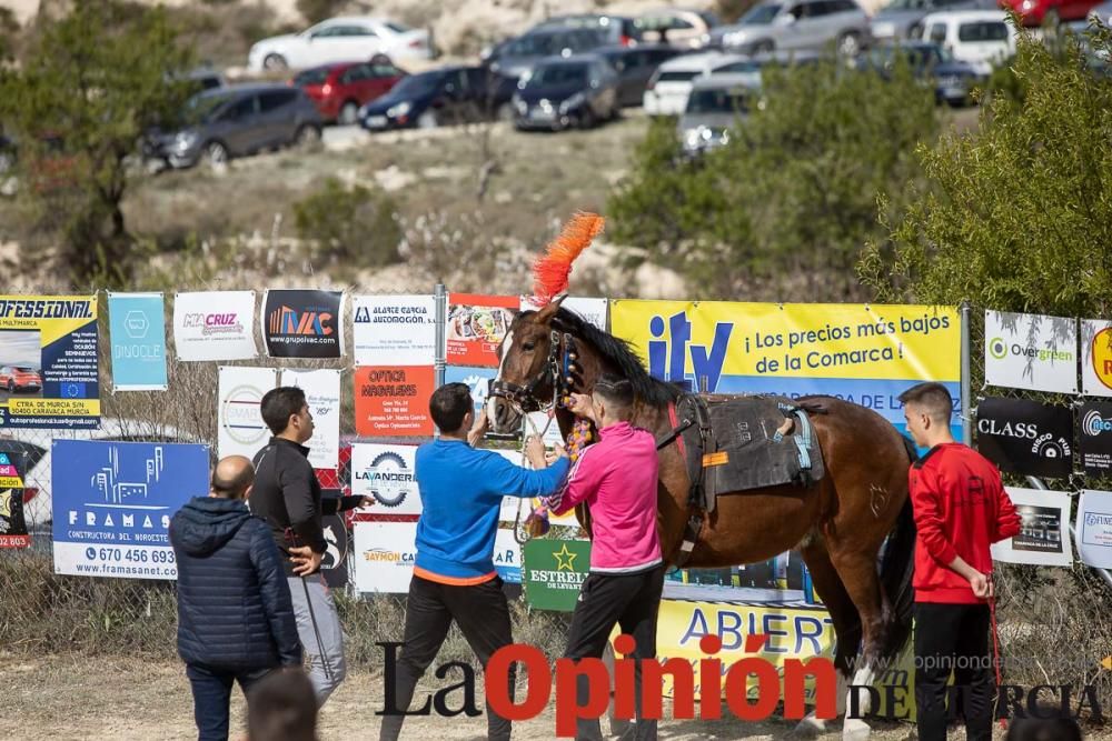 Carrera de entrenamiento de los Caballos del Vino