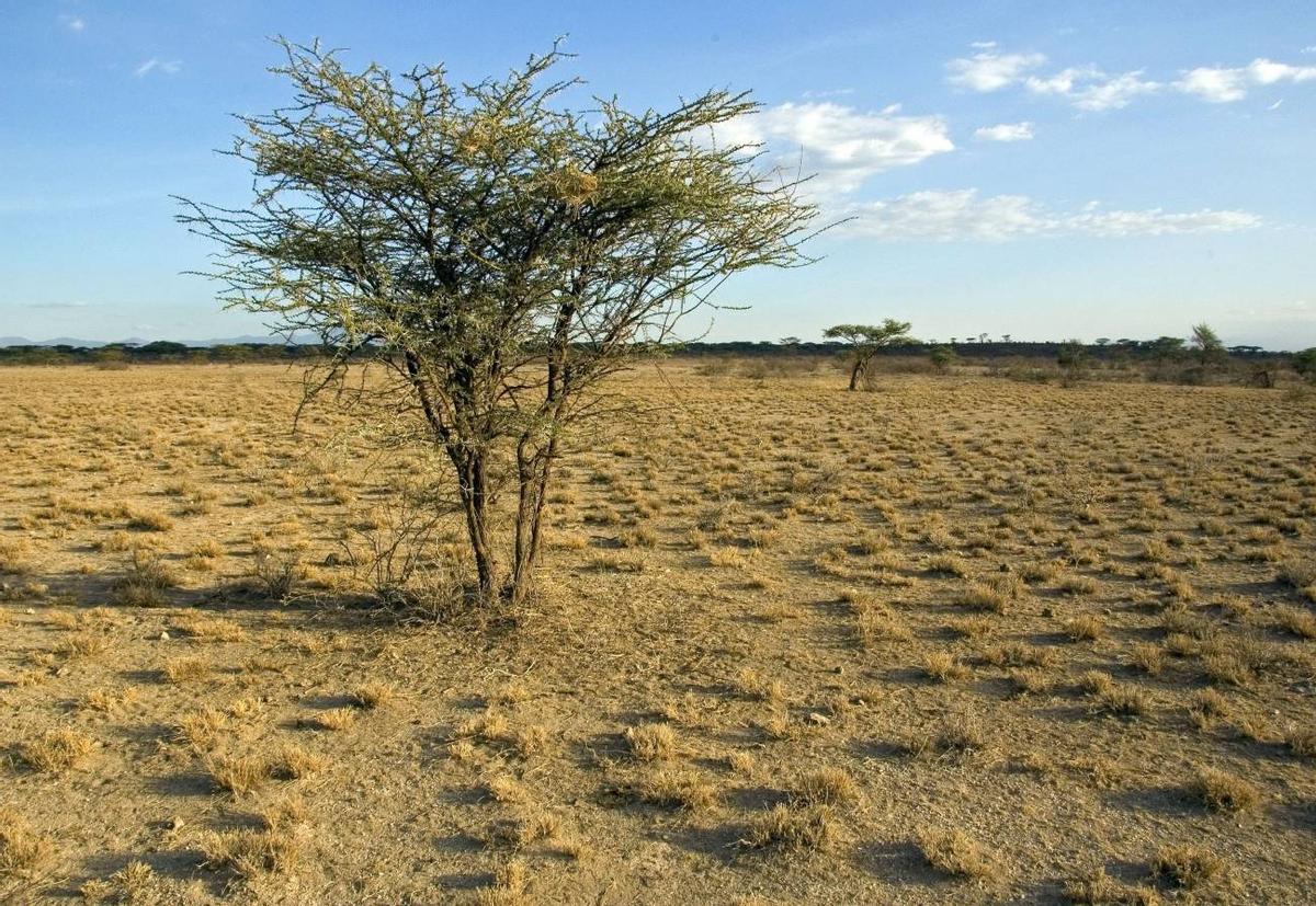 La falta de agua se acelera en el planeta