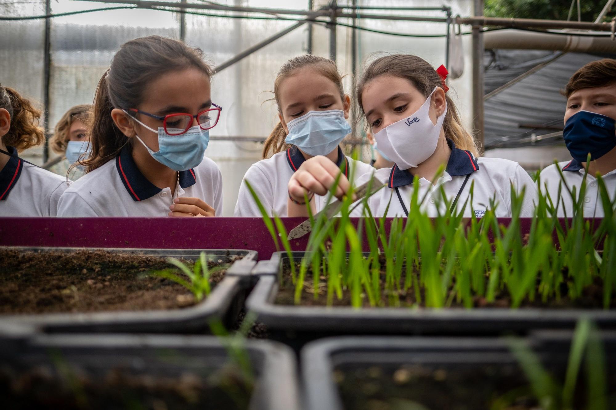 Visita a la fábrica de los jardines