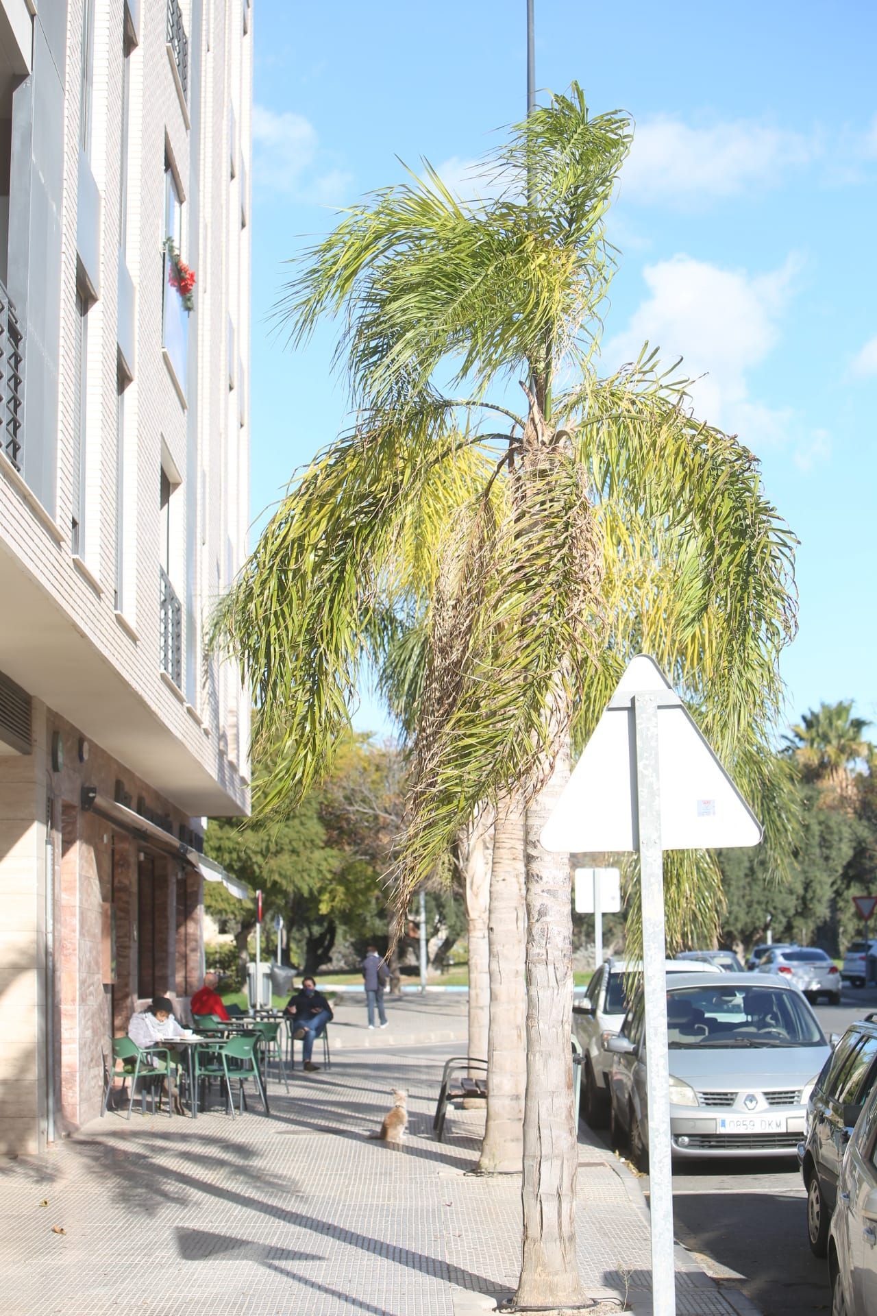 El tiempo en Alicante: alerta por vientos con rachas de hasta 70 km/hora