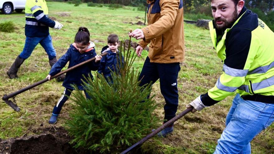Unas treinta personas acuden a replantar su árbol de Navidad en el monte de Tomeza