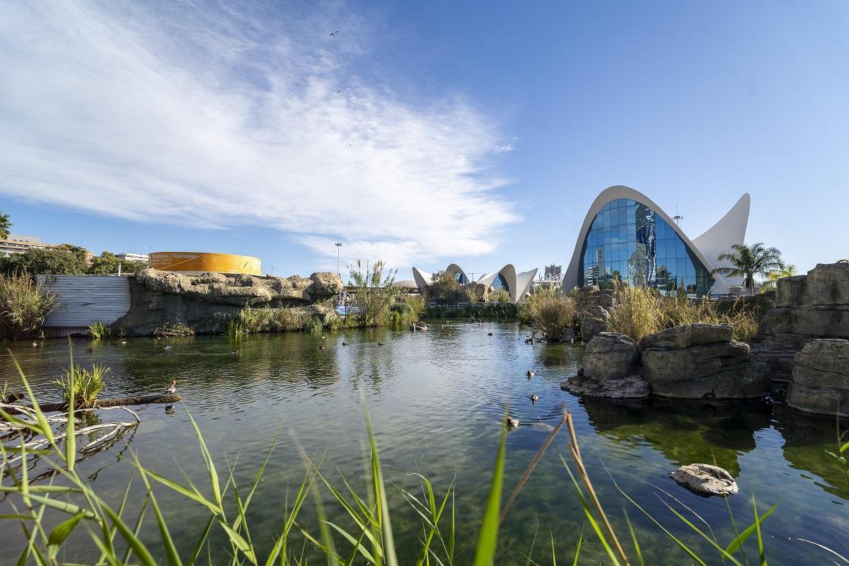 Imagen exterior del Oceanogràfic.