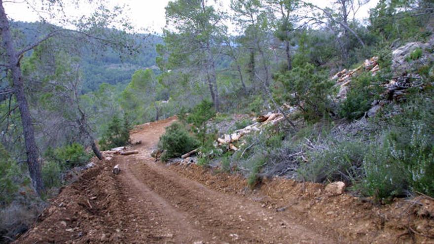 Imagen de archivo de un camino ilegal abierto en una ANEI del municipio de Santa Eulària.