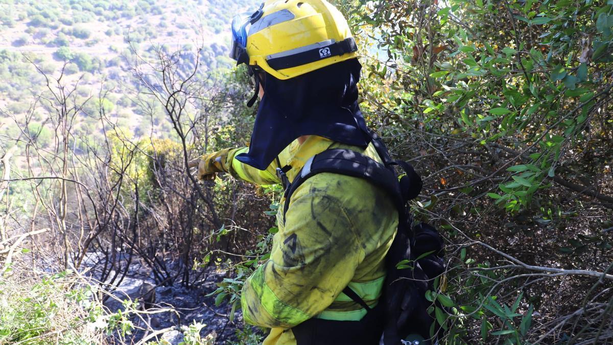 Un miembro del Infoca señala parte de la zona afectada por un incendio en Trassierra, este verano.