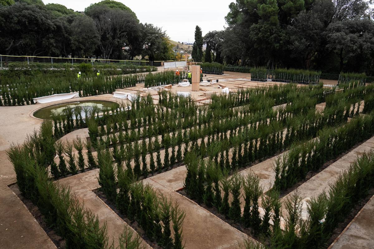 El laberint d’Horta rebrota amb els nous xiprers