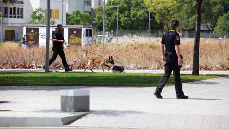 Falsa alarma por la aparición de una bolsa de deporte abandonada en Nou Llevant