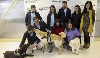 La terapia asistida con perros del Materno, finalista en un premio nacional de pediatría