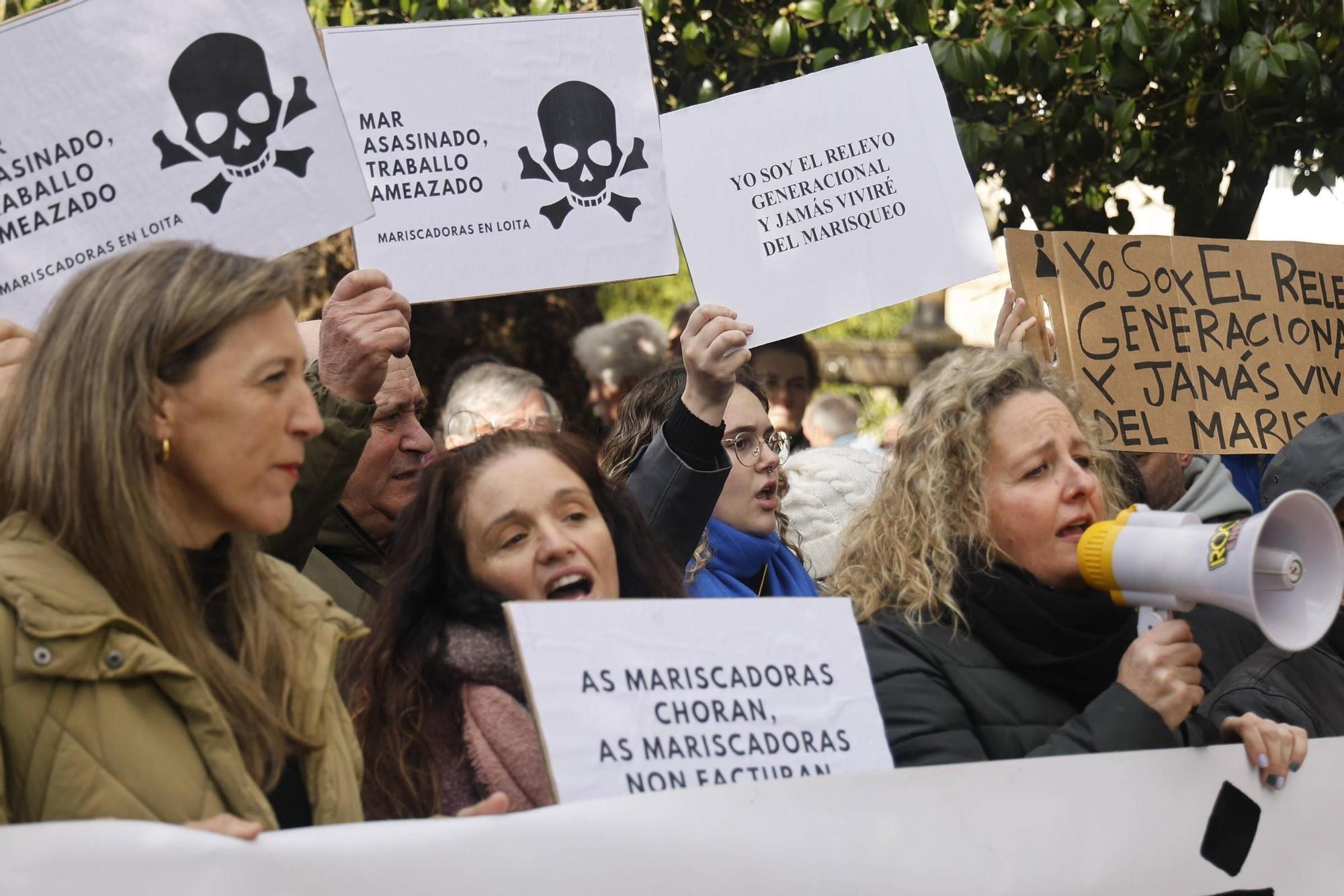 Así se ha desarrollado la manifestación por la crisis de los pélets en Santiago