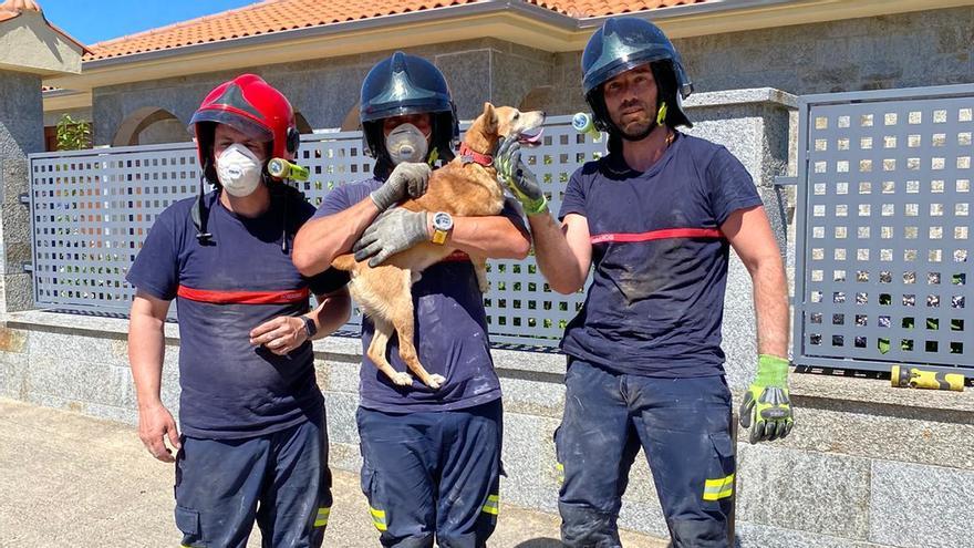 Los bomberos de Rionegro posan con Yaki, el perro rescatado de la alcantarilla.