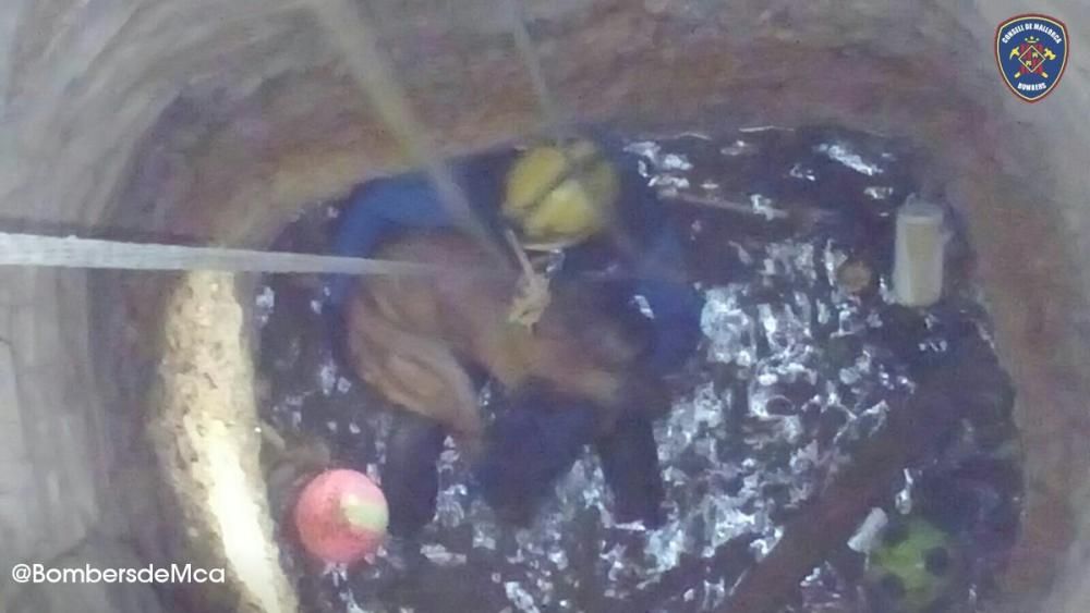 Los Bombers de Mallorca rescatan una perra que cayó en un pozo en Inca