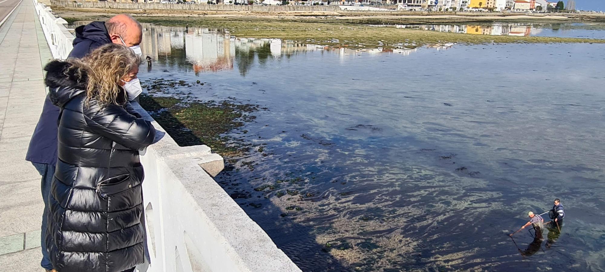 La pesca artesanal del chopo subsiste bajo el puente de A Toxa