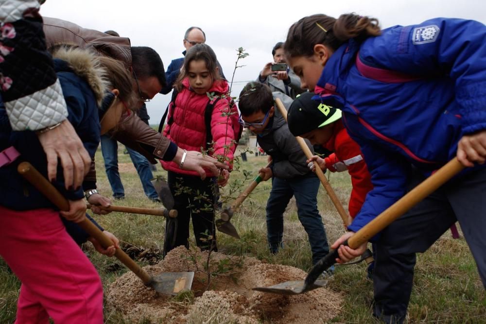 Día Forestal Mundial en el CRA Tierra del Pan