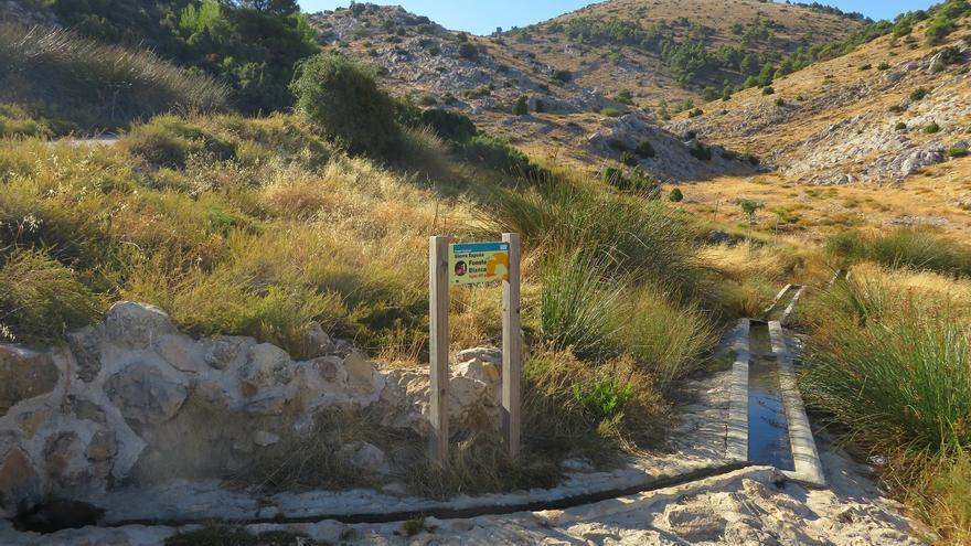 El uso excesivo de los acuíferos, una amenaza para los insectos acuáticos de Sierra Espuña