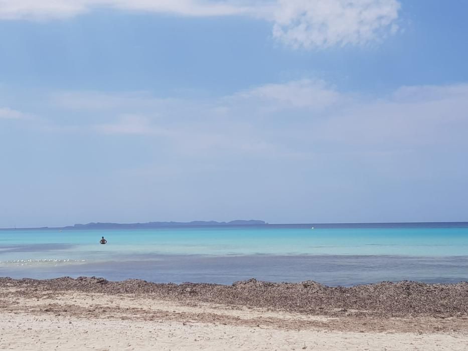 Fase 2 de la desescalada de Mallorca: Primer día con el baño autorizado en las playas