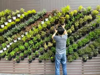 Jardín vertical: las mejores plantas para crear un espacio maravilloso