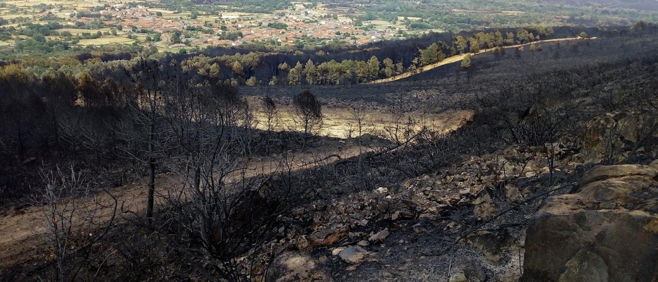 La Sierra de La Culebra, calcinada tras el incendio.