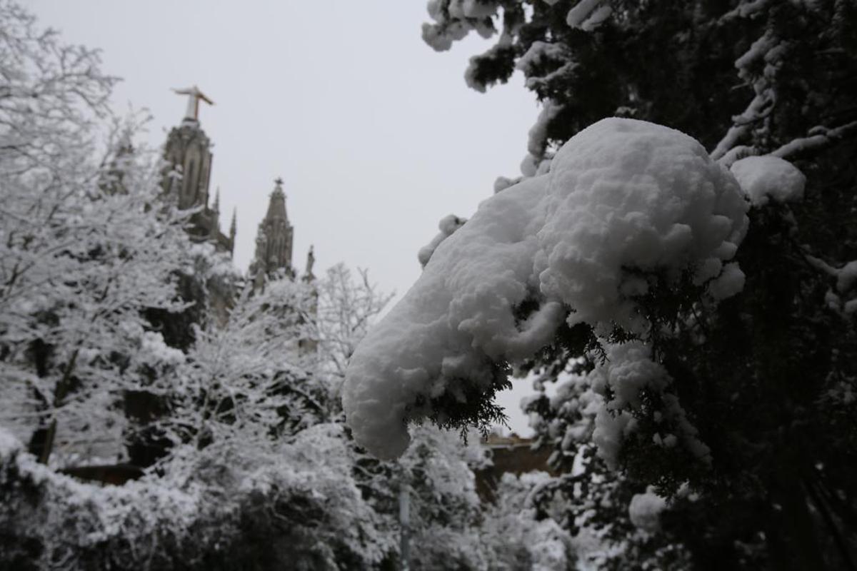 La nieve llega a Barcelona: Collserola, cubierta de blanco