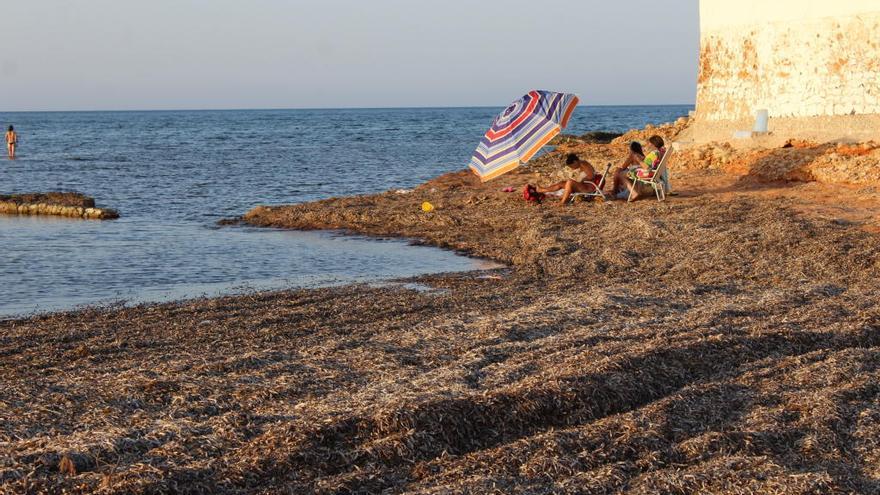 Los empresarios de Dénia defienden la posidonia y piden que se fomente el fondeo sostenible